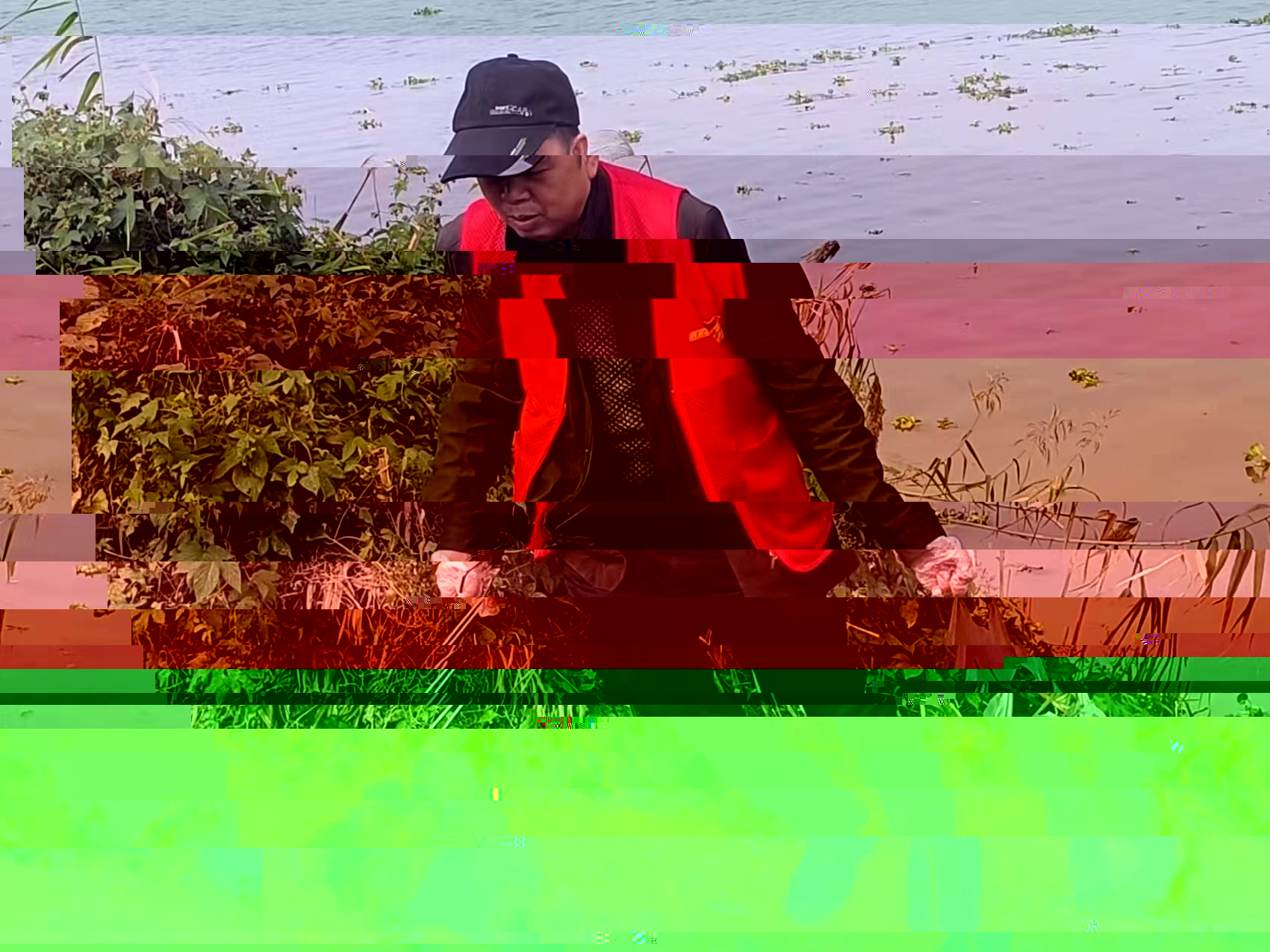 5.jpg 5.jpg